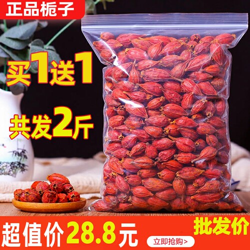 正品野生茶红果黄中药材食用栀子