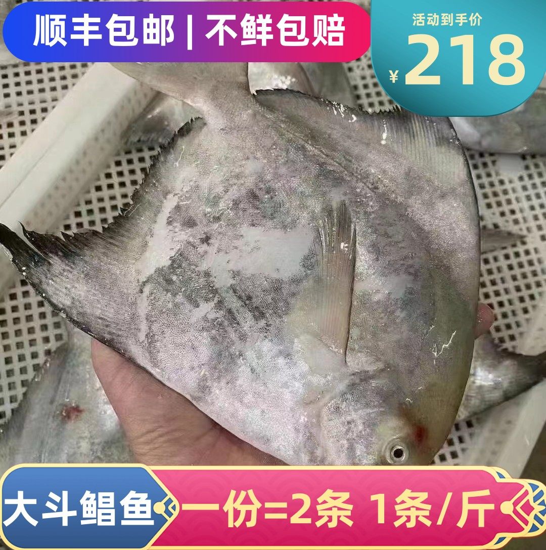 东海新鲜海捕银鲳鱼大斗昌鱼平鱼鲳鳊鱼白鲳鱼斗鲳鱼一条1斤/份