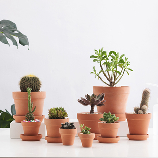 清仓红陶花盆特大号拇指花盆陶瓷红陶盆多肉育苗小盆栽透气陶土盆