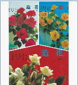 中文造花烫花 DIY教程素材