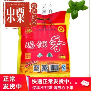 新汾阳瑞俪香小米瑞丽香小米5斤包邮孕妇坐月子小黄米黄小米山西