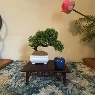 日月堂晚清民国祭兰釉文房小罐琉璃花器古玩古董收藏老物件摆件