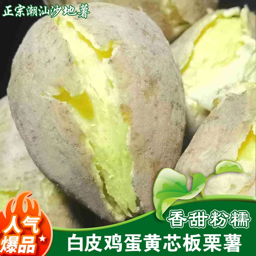 现挖新鲜板栗红薯沙地富硒地瓜番薯农家香薯白皮鸡蛋黄心番薯 5斤图片
