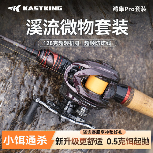 卡斯丁鸿隼pro路亚竿全套微物套