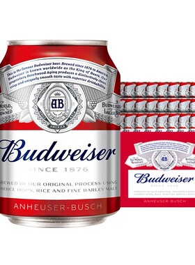 百威啤酒 经典 255ml*12/6罐 小罐mini罐啤酒家庭聚会女生 包邮