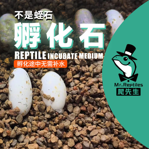 爬先生爬虫孵化石非蛭石