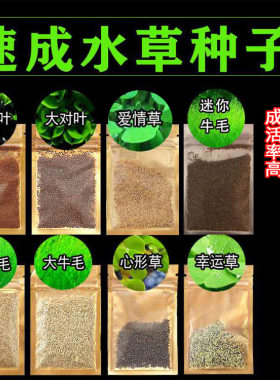 鱼缸水族箱前景速成水草