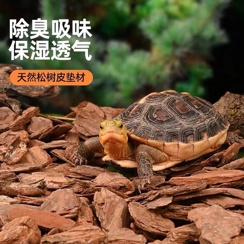 造景用品森林地表蜥蜴陆龟垫料