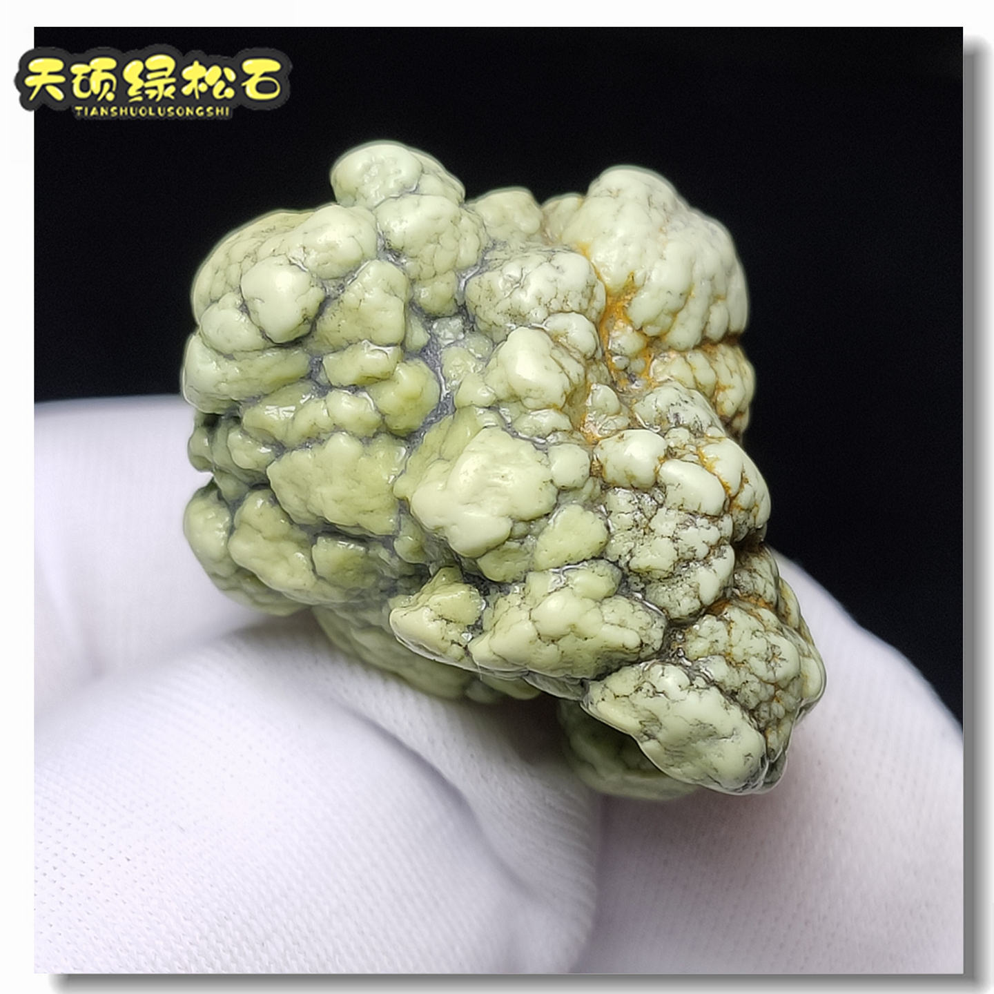 30-39.99元饰品高瓷正宗无处理