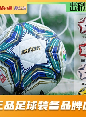 西域风暴 世达Star1000/2000/5000 FIFA比赛训练5号成人学生足球