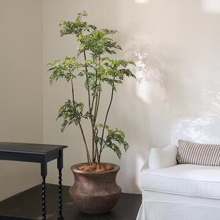 形上中古侘寂落地花瓶绿植仿真假树福禄桐复古做旧罐子高级摆件