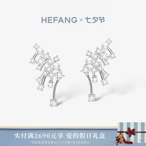 HEFANG何方小星云耳环
