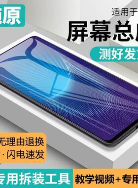 适用vivonex屏幕总成带