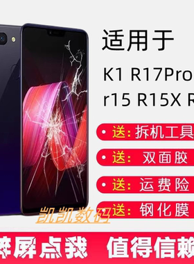 适用OR15屏幕总成rX7K
