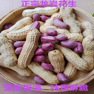 福建龙岩湿烤紫衣红衣花生水煮五香原味清香蒜味晒干咸脆二三四粒