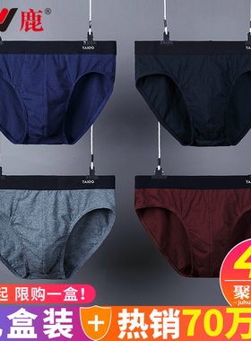 雅鹿底裤男士内裤男生三角裤纯棉男款新款冬季全棉短裤2025新品