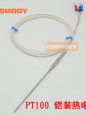 PT100铠装热电阻 WZP-191 针形铂电阻 PT100温度传感器