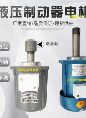 南阳天力电力液压制动器YDT-60 80 140 250 400W推动器微型电机