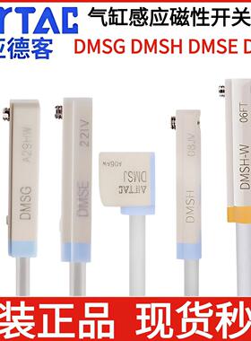 亚德客磁性感应开关DMSG020 DMSH020 DMSE020 DMSJ020/030/050-RW