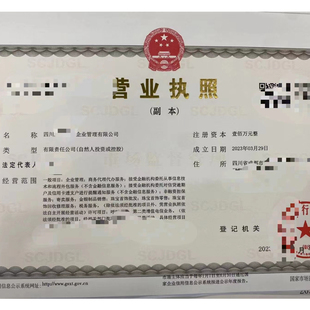 成都金融外包公司注册