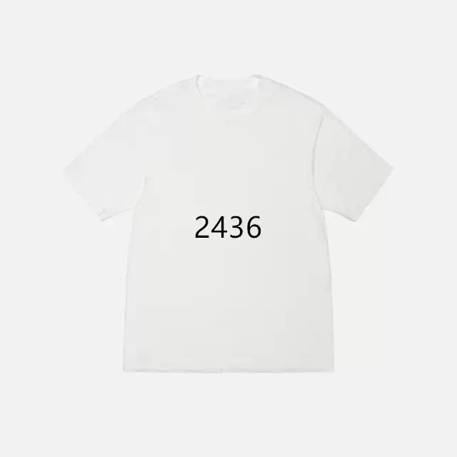 Stu FW24 DNA TEE PIGMENT DYED LOGO英文发泡印花宽松圆领短袖t恤 黑色 白色 S M L XL