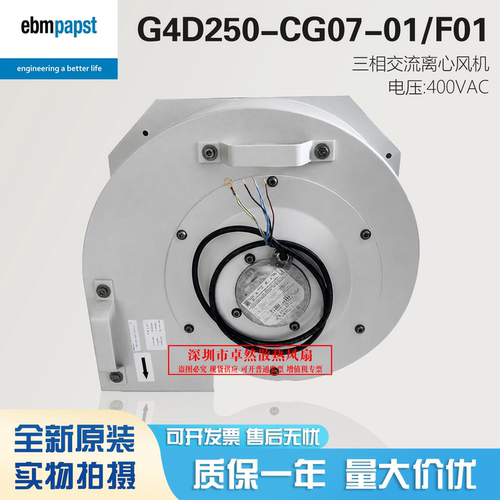 G4D250-CG07-01/F01德国进口风机