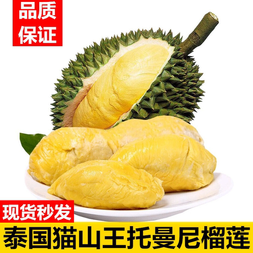 泰国进口托曼尼榴莲小猫山王榴莲