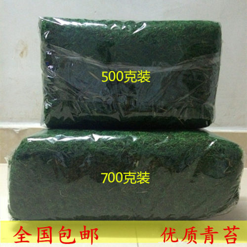 绿色水草价格 绿色水草图片 星期三