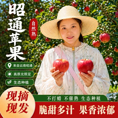 云南昭通红苹果脆甜现采产地直发