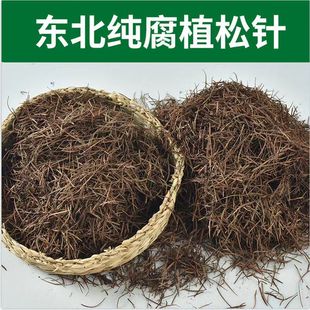 腐熟落叶松针发酵营养土兰花植料介质腐叶土天然有机营养土腐熟