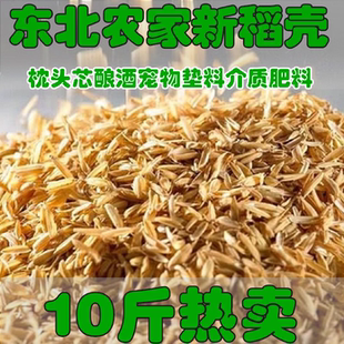 新鲜稻壳谷物壳粗糠壳稻壳皮枕芯酿酒垫料枕头填充物做肥料包邮
