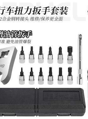 山地公路自行车扭力扳手预置式棘轮力矩2-24NM S2内六角工具套装