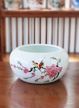 景德镇陶瓷器金鱼缸睡莲荷花盆栽