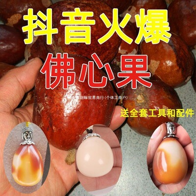 正宗正宗千眼菩提子原料原籽佛心果金包玉原子文玩手串佛珠菩提子