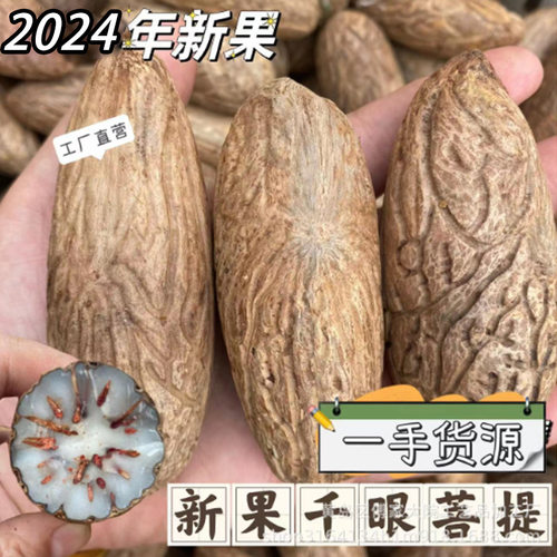 千眼菩提原料原籽果菩提子一手货源佛珠文玩25年新果象牙白绿彩色