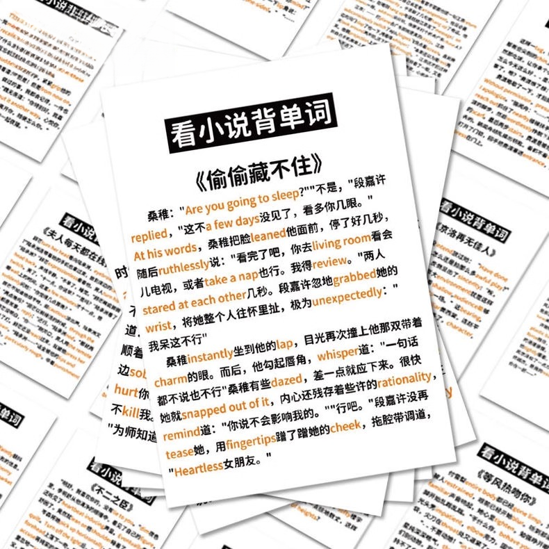 看小说背单词贴纸趣味爆款热门小说中英文手机壳贴画防水创意贴纸