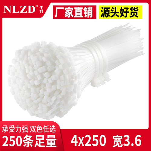 4x250自锁式尼龙扎带强力卡扣塑料固定扎线带电线勒死狗束带索带