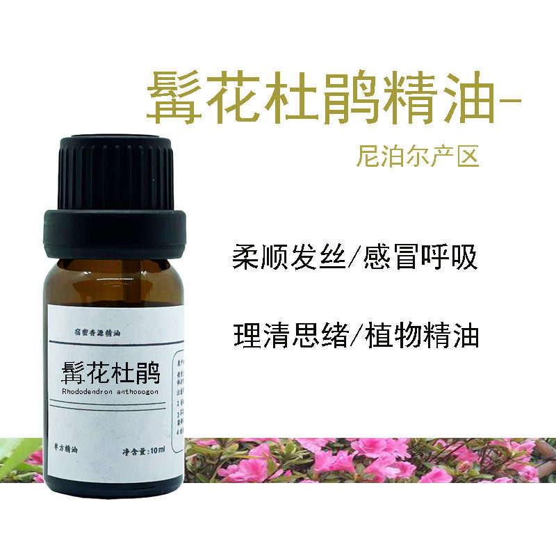 尼泊尔产 高山野生髯花杜鹃纯精油感冒 呼吸帮助 收敛 去鼻水ML