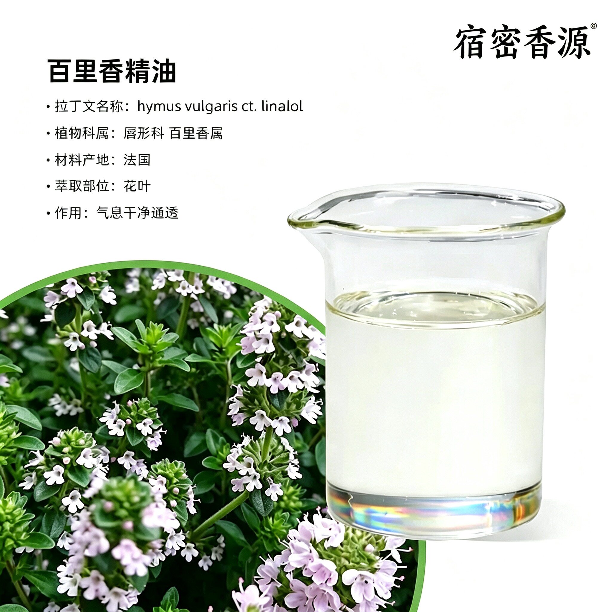 法国南部产区百里酚百里香单方纯精脸部身体油抗军平衡控油净化