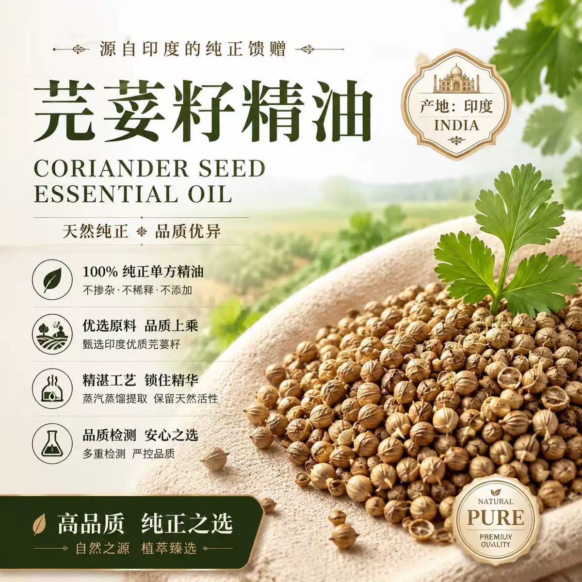 印度产区超临界芫荽籽单方纯植物精油香菜肌肉酸痛身体按摩