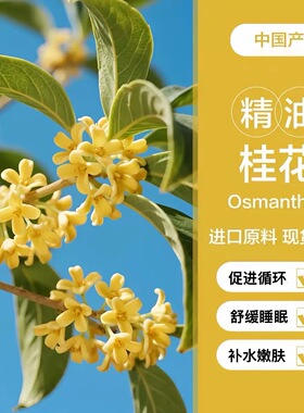 桂花单方纯精油空气净化香薰香芬护发按摩提亮嫩肤帮助睡眠收毛孔
