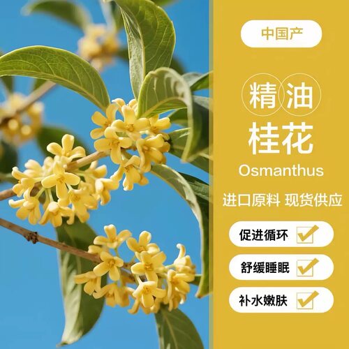 桂花单方纯精油空气净化香薰香芬护发按摩提亮嫩肤帮助睡眠收毛孔