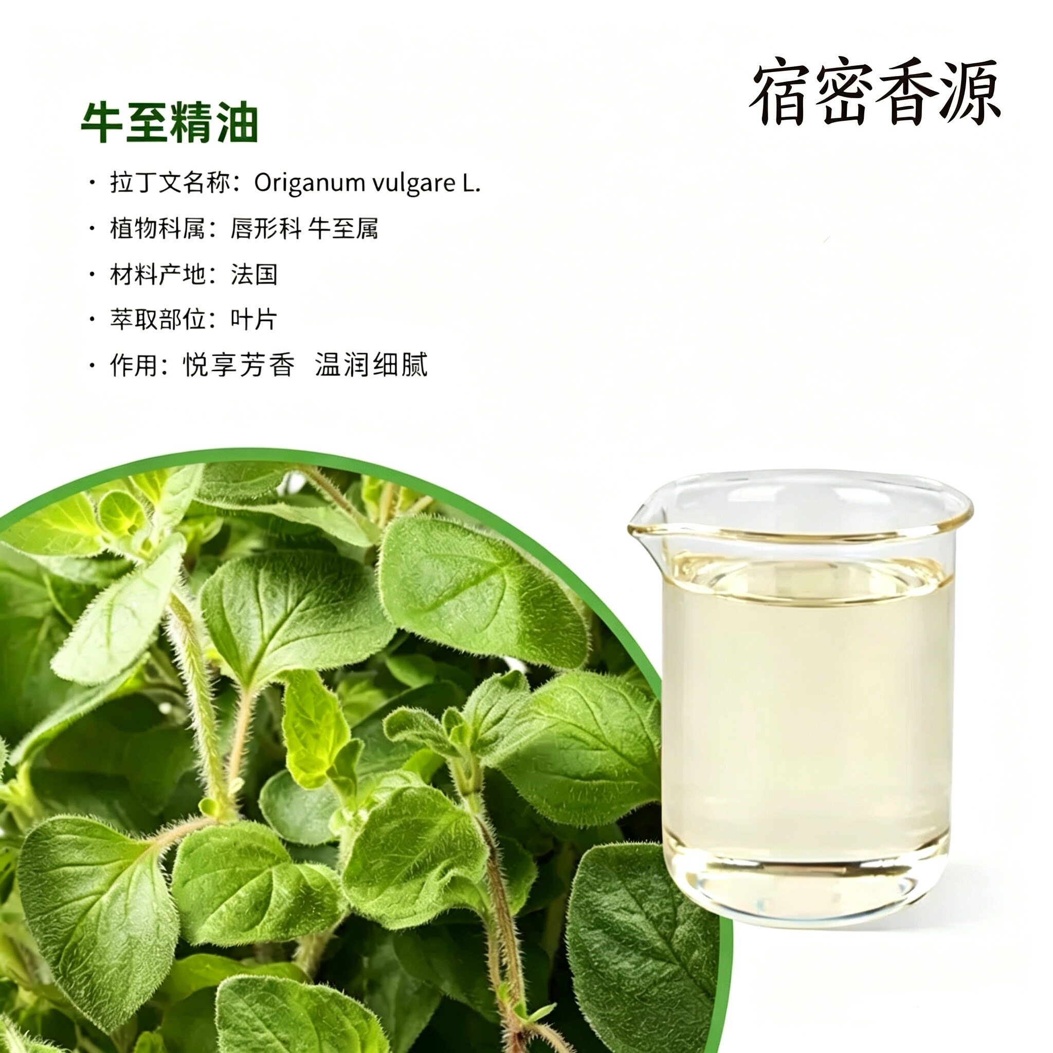 法国产区牛至单方纯精油净化空气 关节护理按摩 舒缓肌肤植物萃取