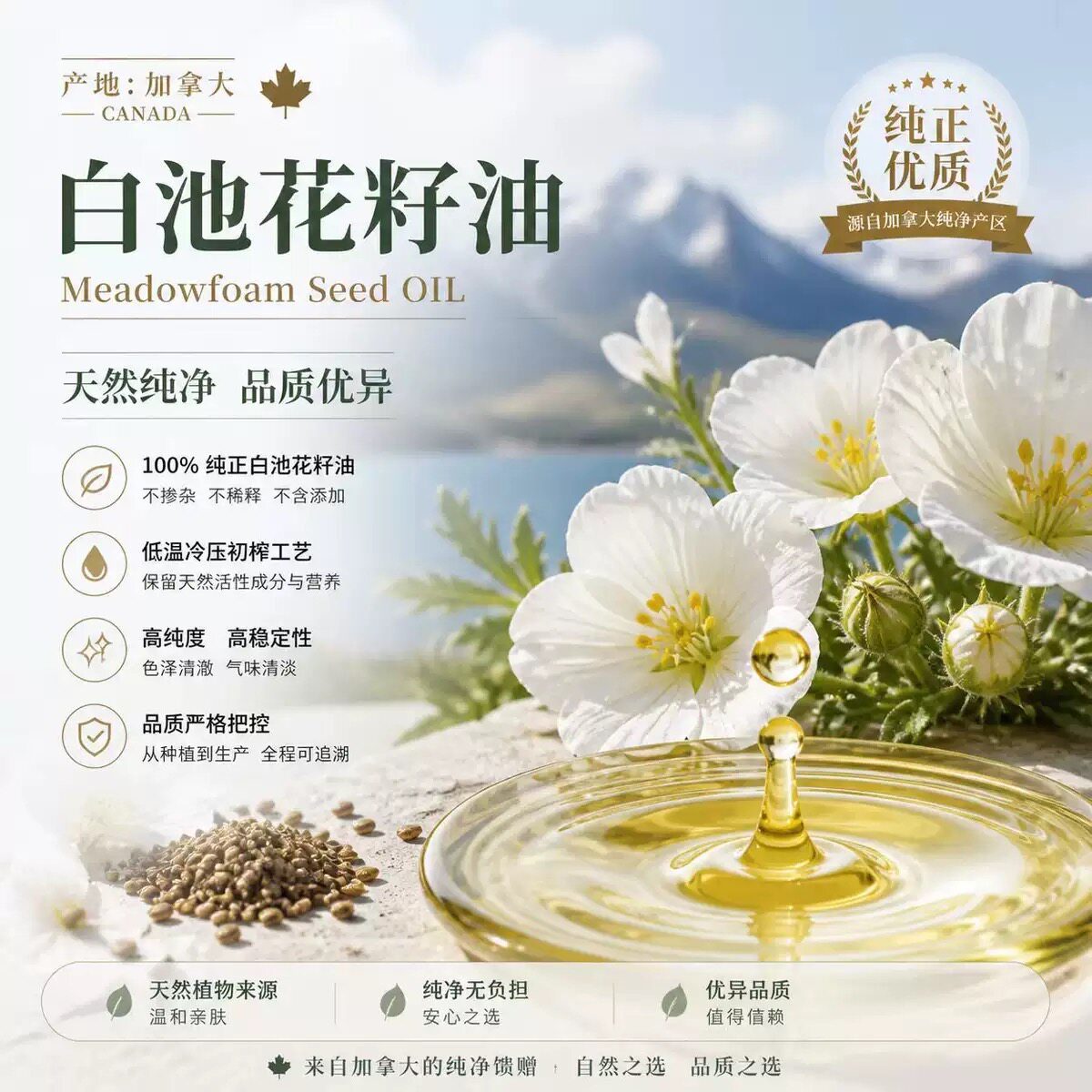 加拿大产白池花籽油基底油按摩护肤滋润保湿修复肌肤高品质好吸收