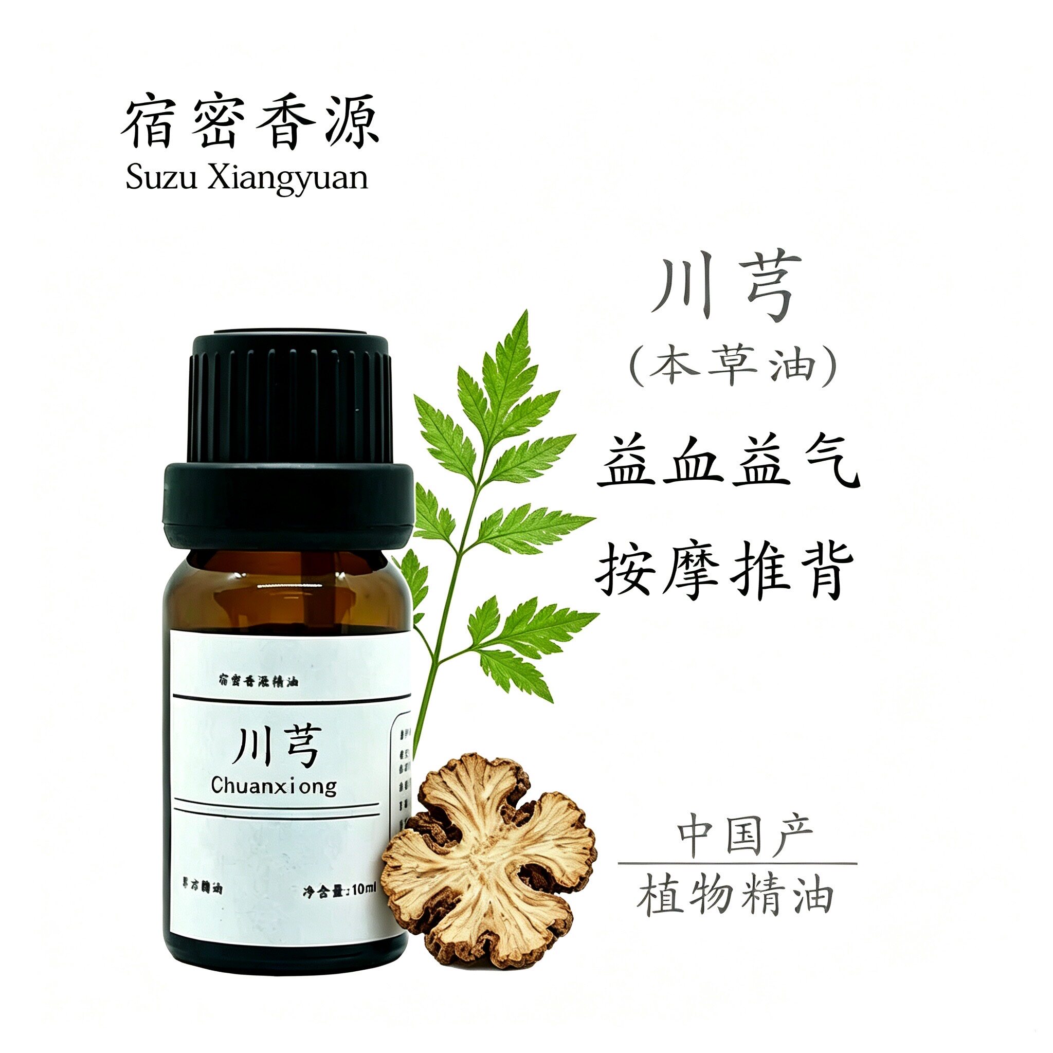 中国产川芎单方精油纯植物本草油益气掌灸全身身体按摩刮痧通经络