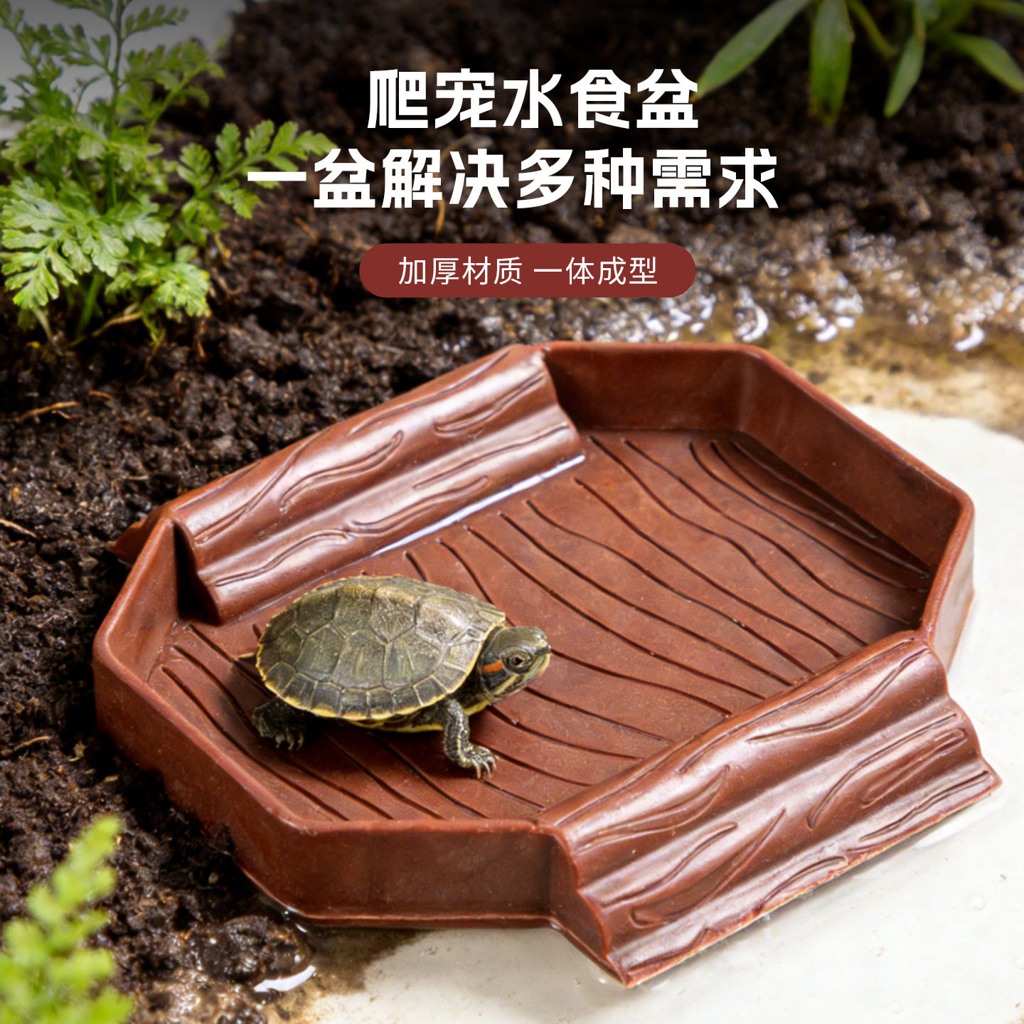 爬宠泡澡盆半水龟黄缘陆龟两用喂食盆喂水盆双梯乌龟盆造景用品