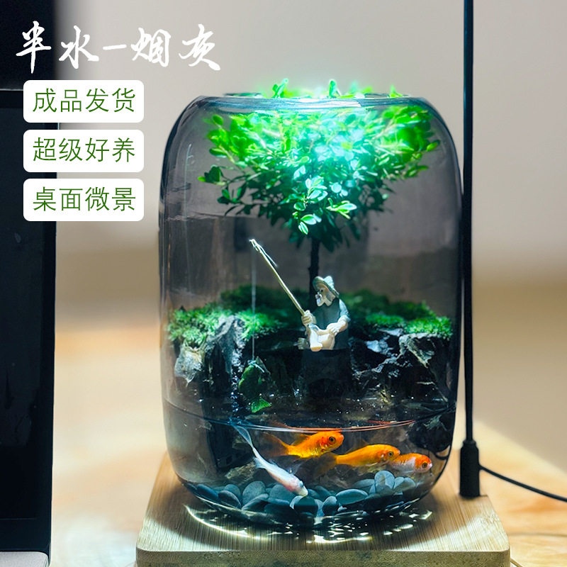 【半水生命之树】趣味植物苔藓微景观水陆缸钓鱼翁系列易养活摆件