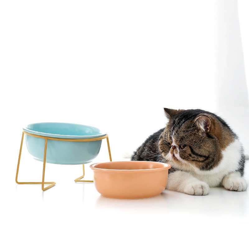 猫碗斜口倾斜陶瓷宠物碗猫粮碗猫食盆猫咪饭碗狗食盆保护颈椎高脚