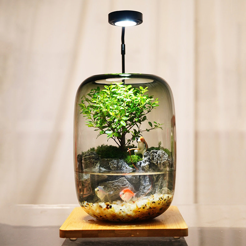 【小猫钓鱼】苔藓微景观办公室创意生态缸鱼缸桌面生态瓶摆件成品