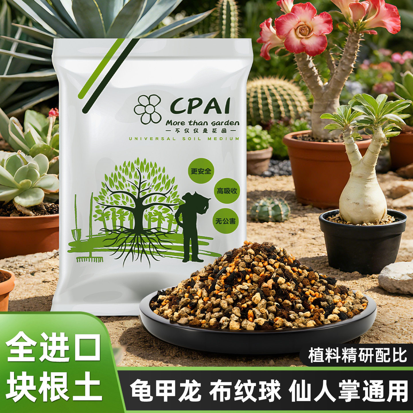 块根土营养土龙舌兰龟甲龙通用仙人球植物营养铺面种植颗粒土